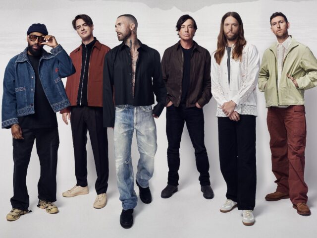 maroon 5 lisa priceless