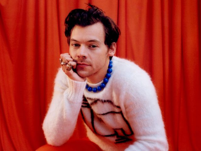 harry styles lillie eiger